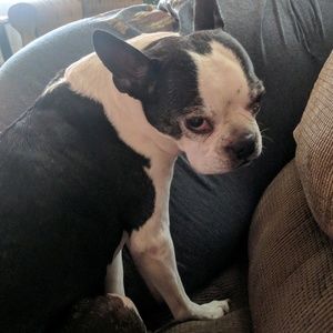 Meet your Posher, Jenna